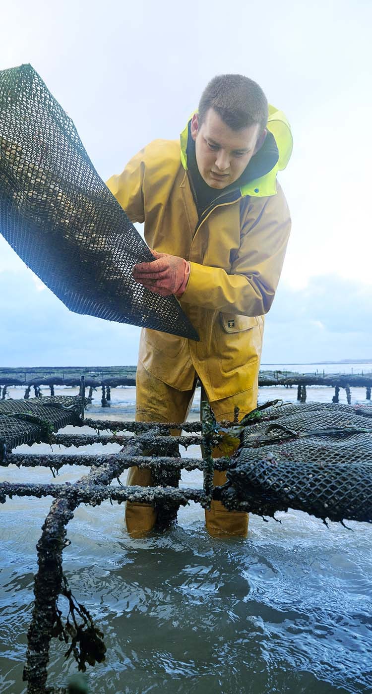 Les métiers de la pêche et de l'aquaculture